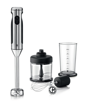 Lineo stick blender