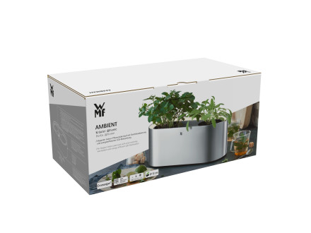 Self-watering, illuminated Ambient pot