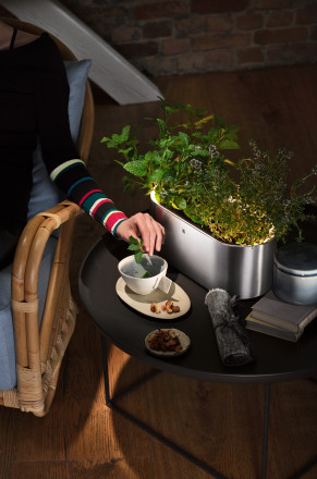 Self-watering, illuminated Ambient pot